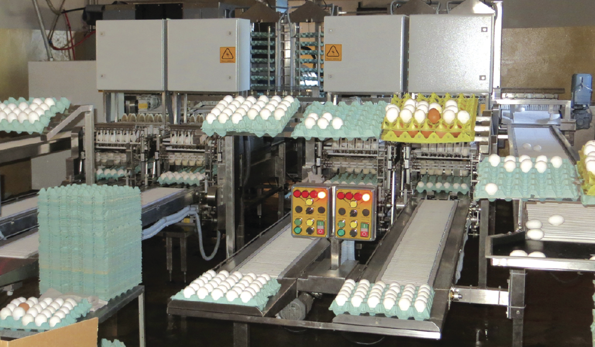 Balanza de pesaje de huevos