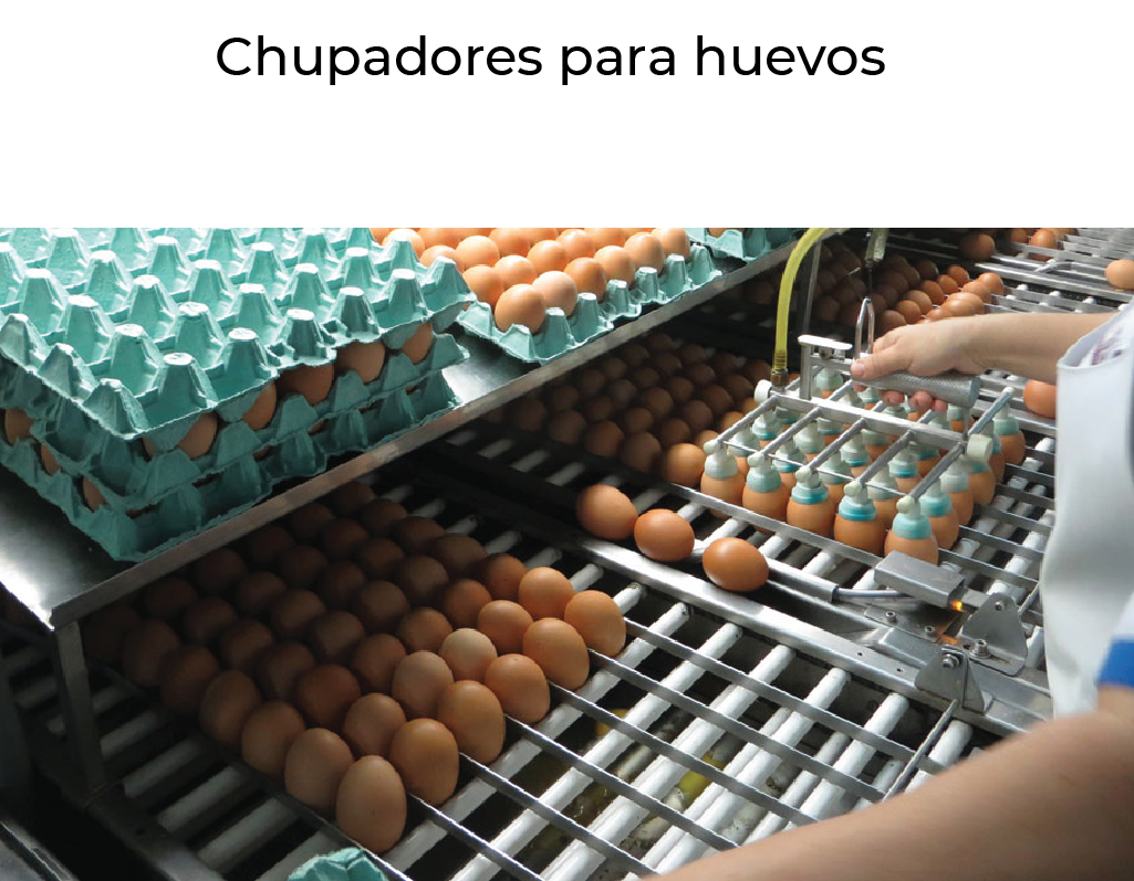 Chupadores de huevo